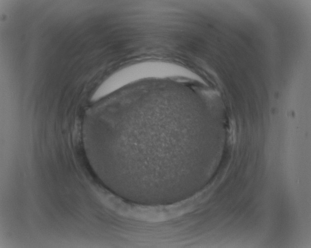 X0000082760029200702092005