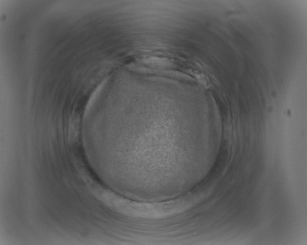 X0000082760030200702092005