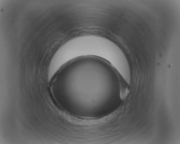 X0000082760031200702092005