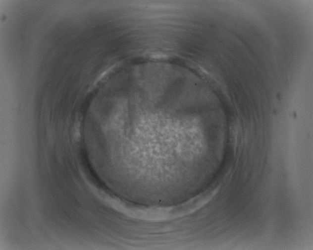 X0000082760032200702092005