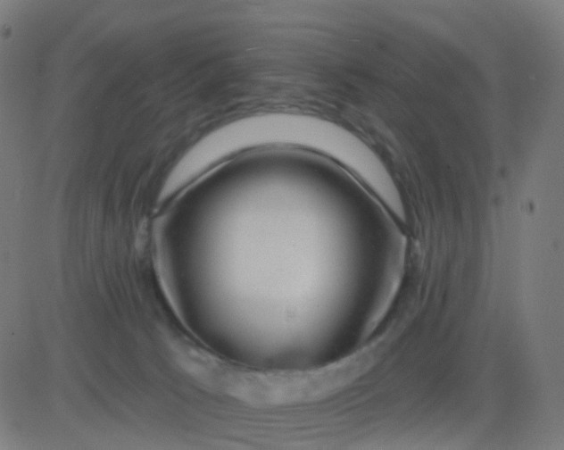 X0000082760033200702092005