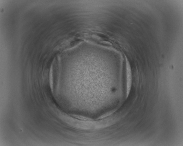 X0000082760034200702092004