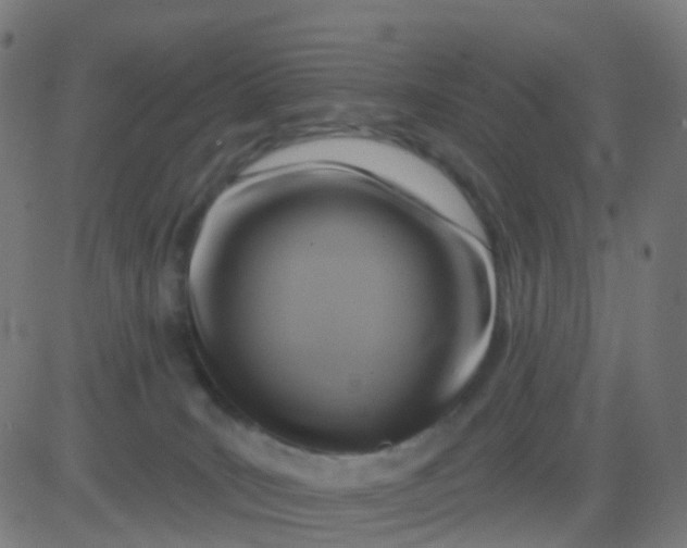 X0000082760035200702092004