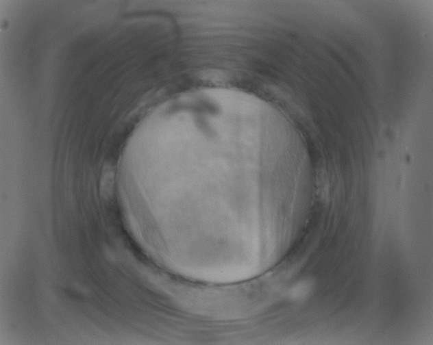 X0000082760036200702092004