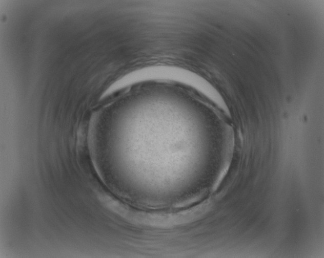 X0000082760037200702092004