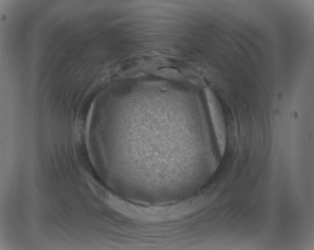 X0000082760038200702092004