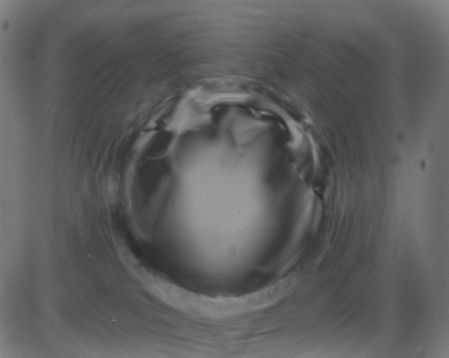 X0000082760039200702092004