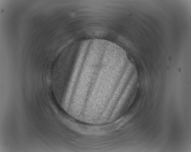 X0000082760040200702092004