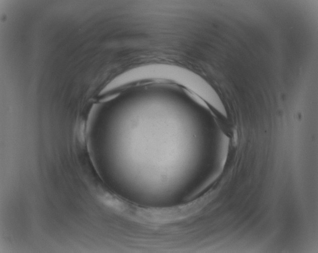 X0000082760041200702092004