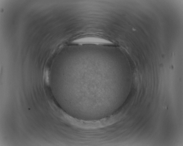 X0000082760042200702092004