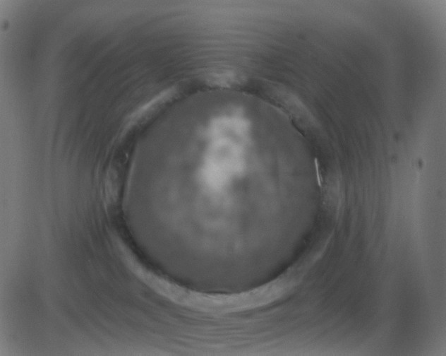 X0000082760043200702092004