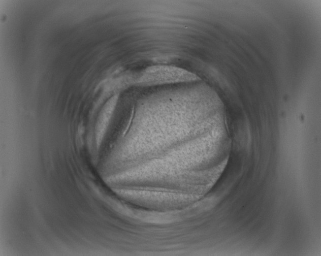 X0000082760044200702092004