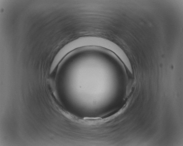 X0000082760045200702092004