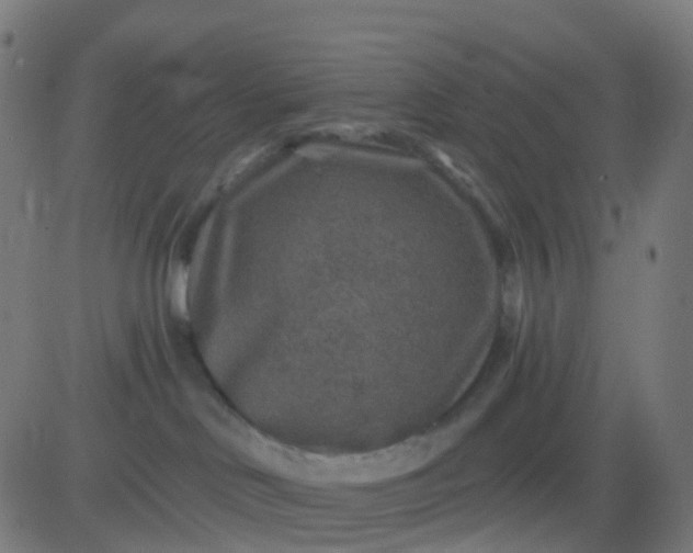 X0000082760046200702092004