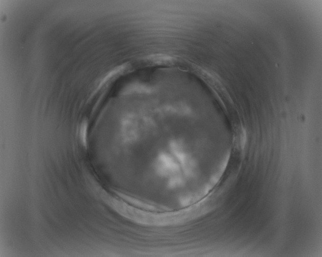 X0000082760047200702092004