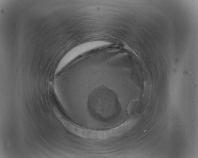 X0000082760048200702092004