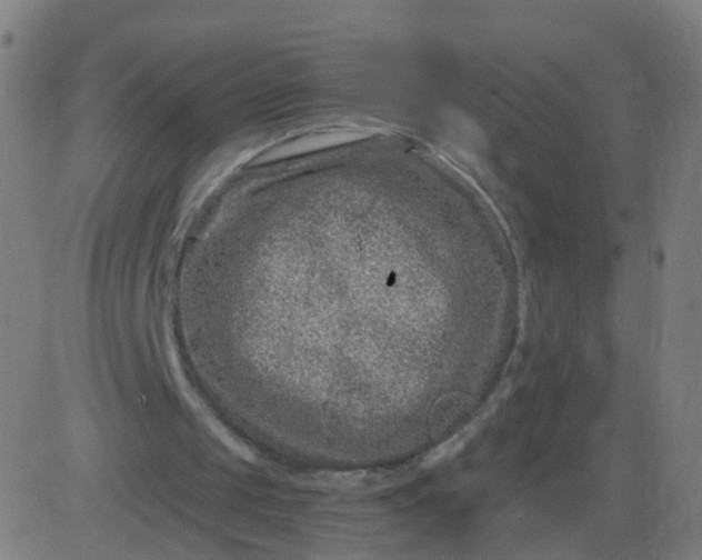 X0000082760049200702092003