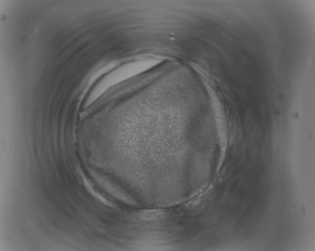 X0000082760050200702092003