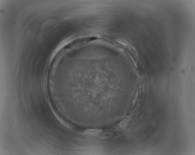 X0000082760051200702092004