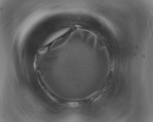 X0000082760052200702092004