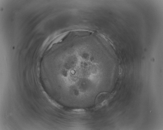 X0000082760053200702092004