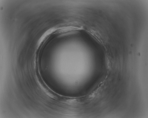 X0000082760054200702092004