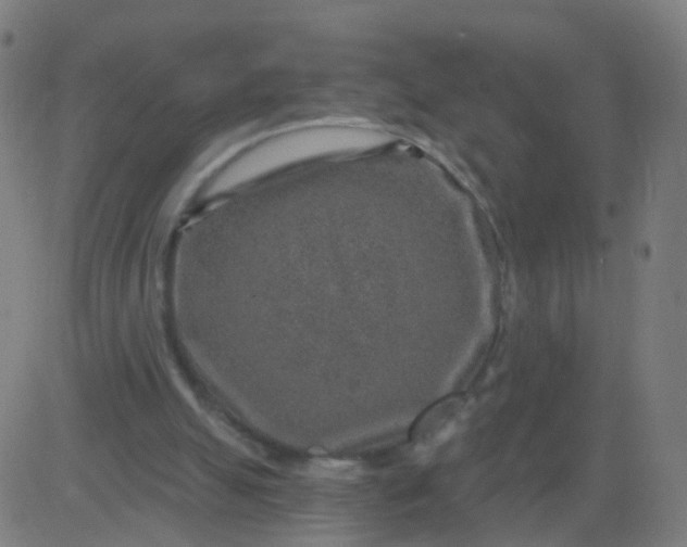 X0000082760055200702092004