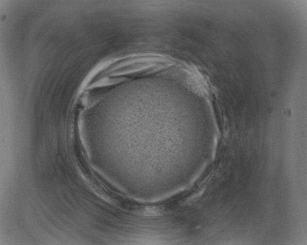 X0000082760056200702092004