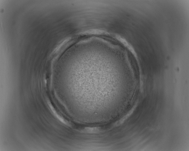 X0000082760057200702092004