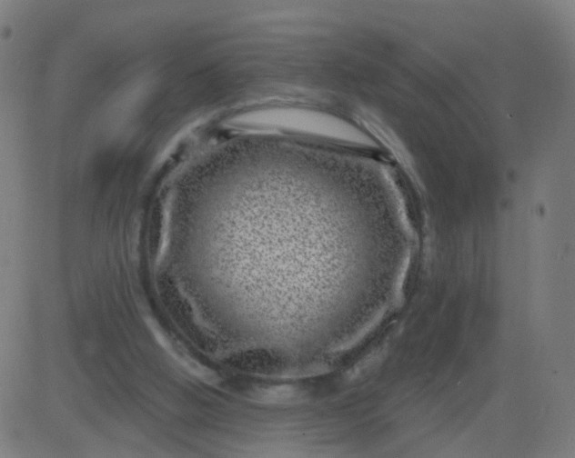 X0000082760058200702092004