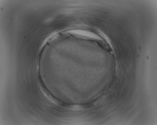 X0000082760059200702092004