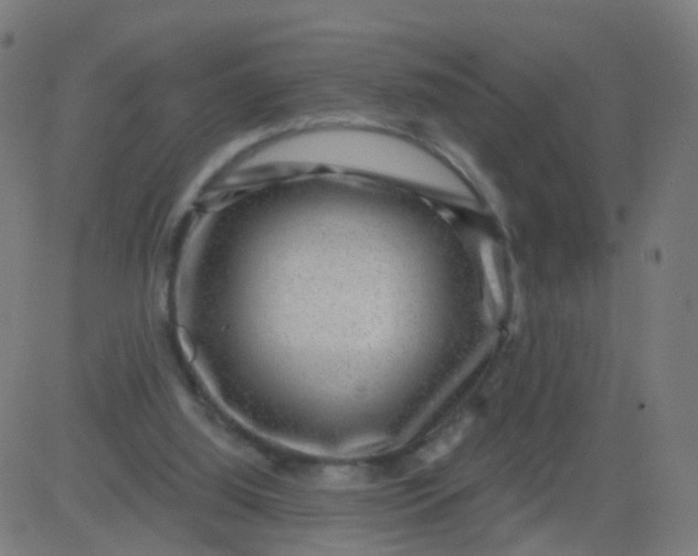 X0000082760060200702092004