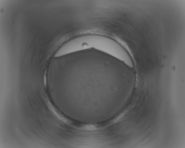 X0000082760061200702092004