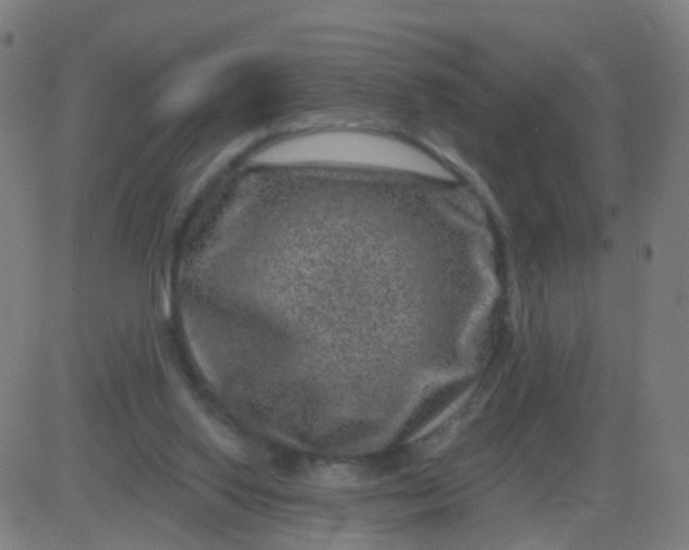 X0000082760062200702092004