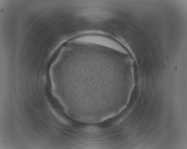 X0000082760063200702092004