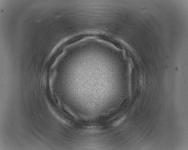 X0000082760064200702092004