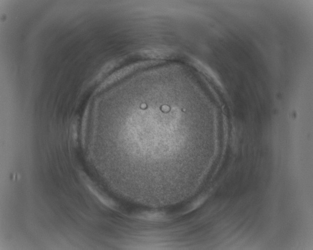 X0000082760065200702092004