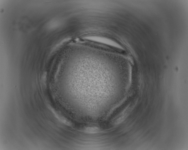 X0000082760066200702092004