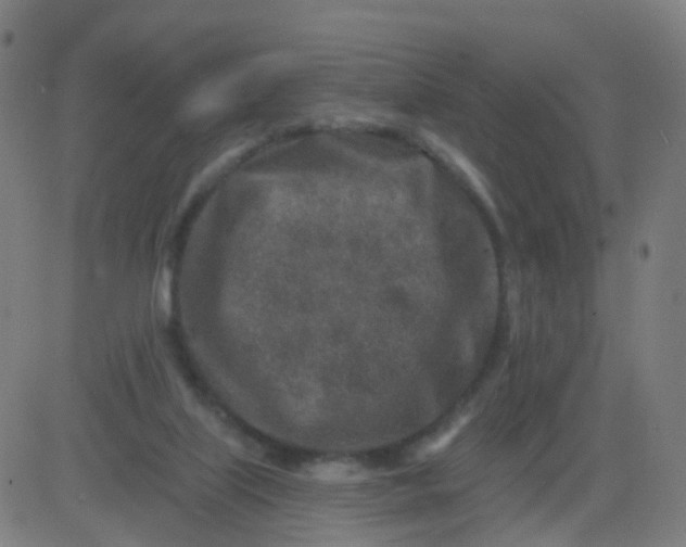 X0000082760067200702092004