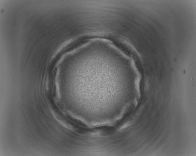 X0000082760068200702092004