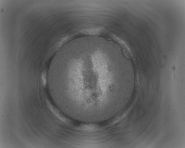 X0000082760069200702092004