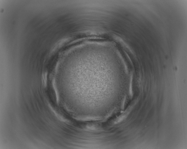 X0000082760070200702092004