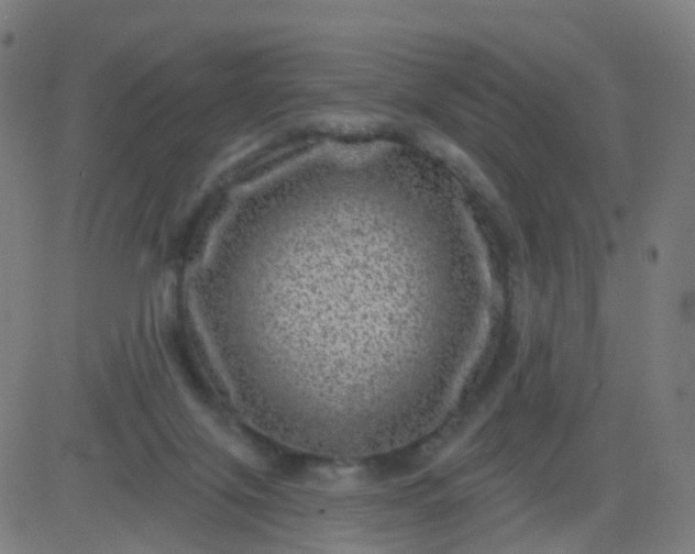 X0000082760071200702092004