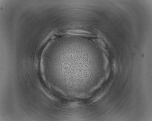 X0000082760072200702092004