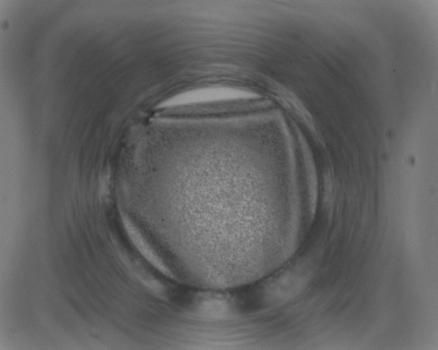 X0000082760073200702092004