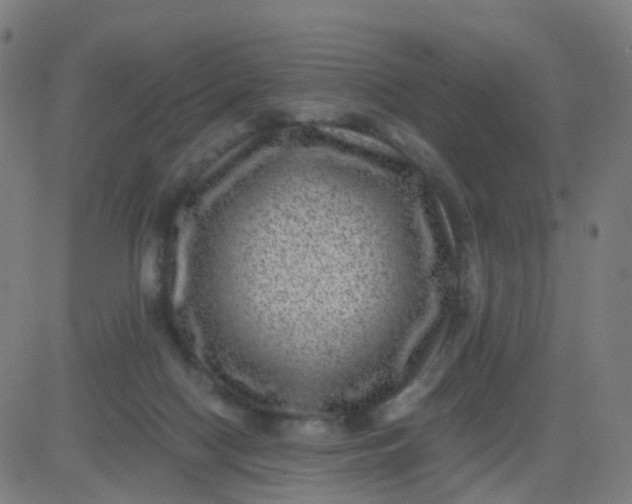 X0000082760074200702092004