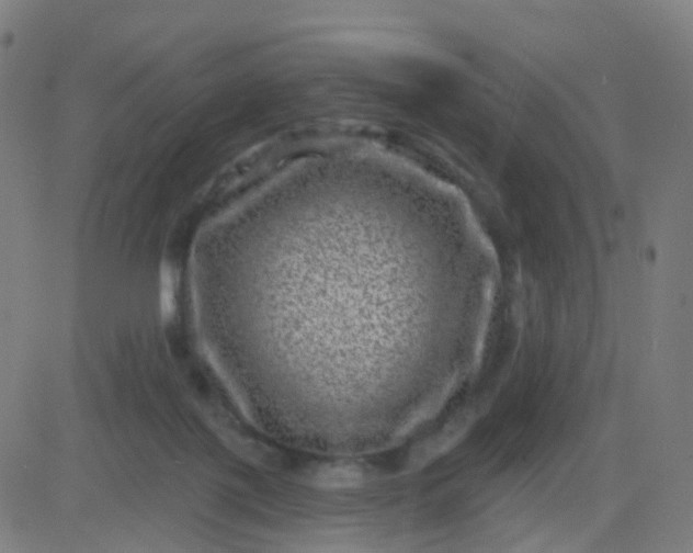 X0000082760075200702092004