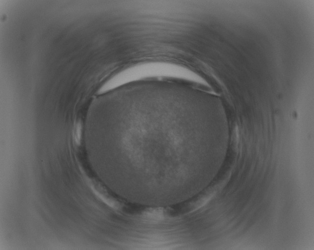 X0000082760076200702092004