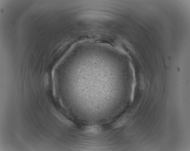 X0000082760077200702092004