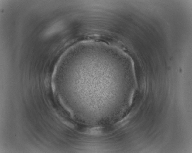 X0000082760078200702092004